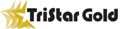 TriStar Gold Announces Diamond Drilling Results from Castelo De Sonhos Project