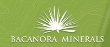 Bacanora Minerals Reports Lithium Drilling Results from Ventana Property