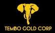Tembo Gold Drills at Nyakagwe East Target