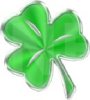 Shamrock Enterprises Reports Drill Program Results from Fireweed Project