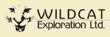 Wildcat Exploration Announces Preliminary Drilling Results from Jeep Gold Property