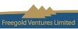 Freegold Ventures Obtains Ongoing Drilling Results from Golden Summit Project