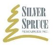 Silver Spruce Resources Announces Phase II Drilling Results from Big Easy Property