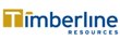 Timberline Resources Intersects High-Grade Gold at Lookout Mountain Project