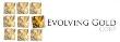 Evolving Gold Intersects High-Grade Gold from Carlin-Humboldt Project