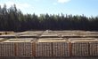 Foran Commissions Reports McIlvenna Bay Deposit Resource Update