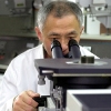 Thomson Reuters Honors Sandvik on 2012 Top 100 Global Innovators List