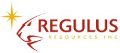 Regulus Rio Grande 2012 Drilling Campaign Outlines Higher Grade Gold-Copper Mineralization