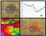 Pangolin Diamonds Completes Aeromagnetic Survey over Botswana Jwaneng South Project