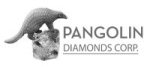 Pangolin Discovers Magi-02 Kimberlite at Tsabong North Project in Botswana