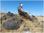 Brazil Minerals Acquires Exclusive Rights to Develop Vanadium, Titanium and Iron Project in Piauí