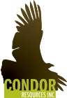 Condor and MMG Enter Exclusivity & Access Agreement for Chile Brahma/Austral Project