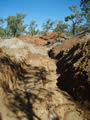 Deutsche Rohstoff Australia Aims for 2010 Gold Production in Queensland