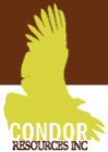 MMG Starts Airborne Geophysical Survey over Condor's Brahma/Austral Porphyry Copper Project