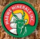 TAG-Z  Acquires Mineral and Metal Rights to Dodge Mine Mountain Range in Zimbabwe