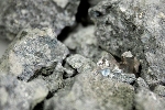 EZRT Develops Demonstrator to Detect Diamonds Hiding Inside Rocks of Volcanic Origin