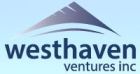 Westhaven Completes High Resolution Airborne Magnetic Survey on Ben Property