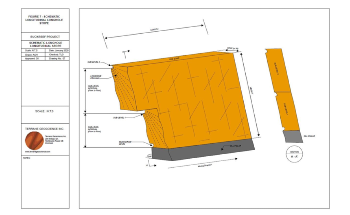Tanzanian Gold's Final Feasibility Study of Buckreef Project