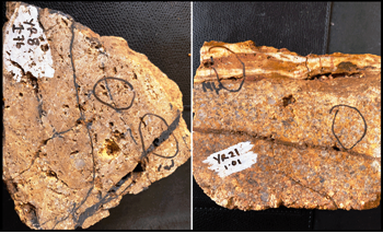 A.I.S. Resources Initiates Due Diligence for Yalgogrin Orogenic Gold Project