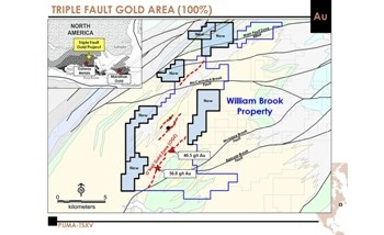 Puma Exploration Acquires Additional Land Package at Triple Fault Gold Project