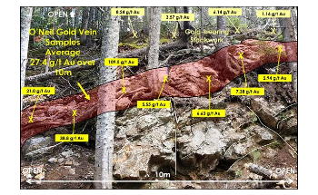 Puma Announces Initial Results of Summer Exploration at its Williams Brook Property
