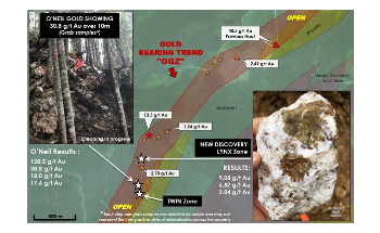 Puma Exploration Discovers New Gold-Bearing Zone at its Williams Brook Property