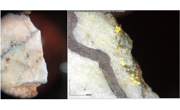 Labrador Gold Detects Visible Gold in Quartz Vein at Gander Newfoundland