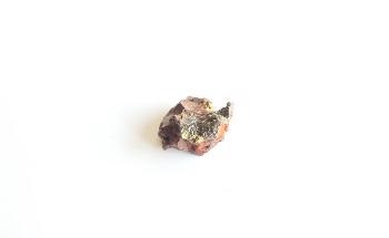 Traces of Martian Mineral Found in Antarctic Ice