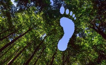 Generation Mining Announces Receipt of Independent Report on Operational Carbon Footprint