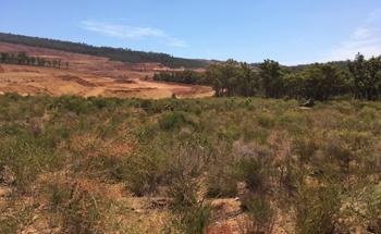 Soil Microbial DNA Predicts Timing of Ecosystem Recovery