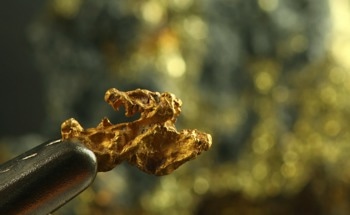 Felix Gold Discloses Results From Treasure Creek Gold Project