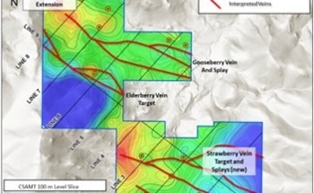 American Pacific Mining Provides Drilling Updates on the Gooseberry Silver Project