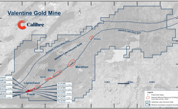 Delving into the Frank Zone Drill Program Results
