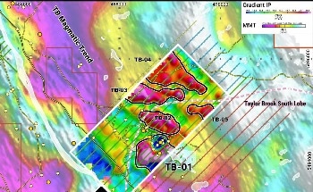 Churchill Resources Discovers Promising Nickel Anomalies at Taylor Brook