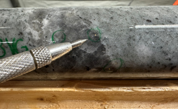 Sirios Discovers Visible Gold at Cheechoo