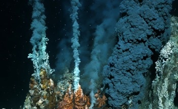 Can Deep-Sea Mining be Sustainable? Insights From a Sediment Redeposition Study