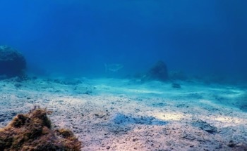 Long-Term Ecological Impacts of Deep-Sea Mining in the Clarion Clipperton Zone