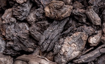 Study Shows Microstructural and Chemical Changes in Lignite During Oxidation