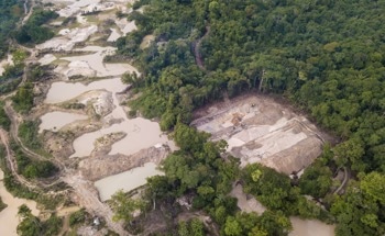 Data Reveals How Mining Shapes Deforestation and Local Economies in Brazil