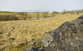 Optimized Flotation for Lead Recovery from Kaldo Slag