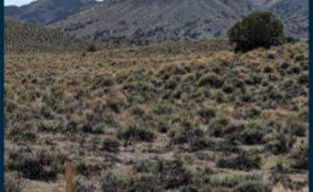 Astute Metals NL Drilling of Gold-Silver Targets Commences at Needles Project