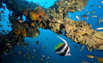 RRT* Algorithm Enhances Path Planning and Obstacle Avoidance in Deep-Sea Mining Vehicles