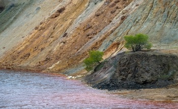 Apatite Interaction Enables Rapid Phosphate Removal in Estuaries