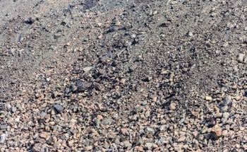 Iron-Rich Slag Enables Efficient Carbon Sequestration