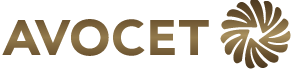 Avocet Mining PLC