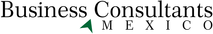 Business Consultants Mexico