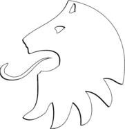 Northern Lion Gold Corp.