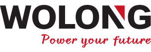 Wolong Electric America