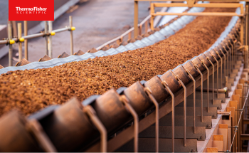 Mill Feed Control with PGNAA